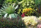 Berylplanting-garden-and-landscape-design-24.jpg; ?>