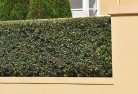 Berylplanting-garden-and-landscape-design-40.jpg; ?>