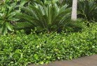 Berylplanting-garden-and-landscape-design-45.jpg; ?>