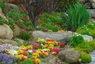 Berylplanting-garden-and-landscape-design-69.jpg; ?>